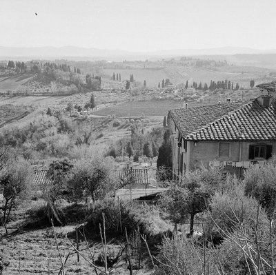 RO032019-001-frame1small.jpg