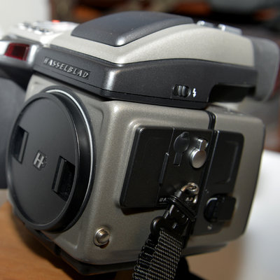 _DSC9071.JPG