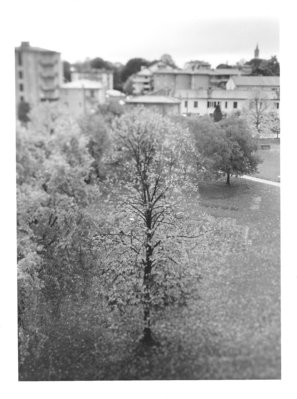 Fuori dalla finestra.jpg