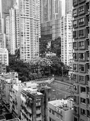 F40D159D-972F-462B-9C21-EFA4085C2F89.jpeg