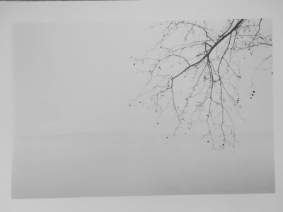 Lago di Bracciano, Trevignano 2019.<br />Rollei 35te. Kodak trix.<br />Stampa su 18x24 ilford rc new