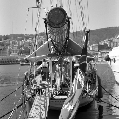 683_010_W.jpg