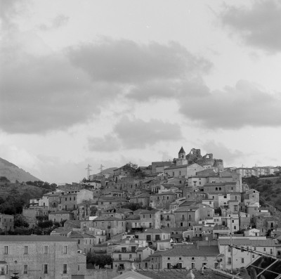 img458.jpg