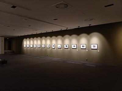 002.jpg (109.7 KiB) Visto 1360 volte 002.jpg