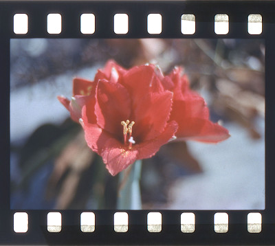 diapositive-003.jpg