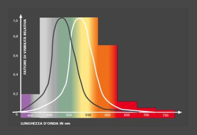 Curva di sensibilità semplificata bastoncelli sx e coni dx.JPG