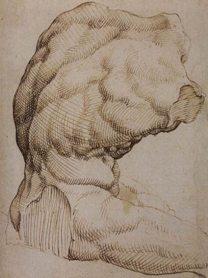 Torso del Belvedere dis. Maarten van Heemskerck.JPG