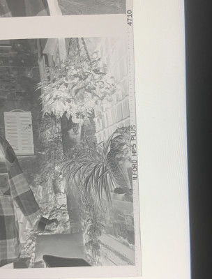 Tutto regolare, niente luce forte, niente cielo.