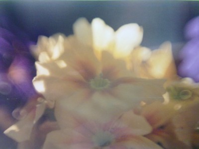 flower 1.jpg