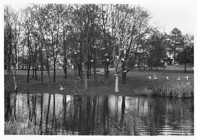 ammazzafotoni