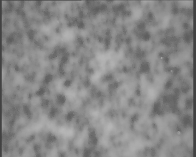 "microfotografia" della stampa fatta con un microscopio giocattolo