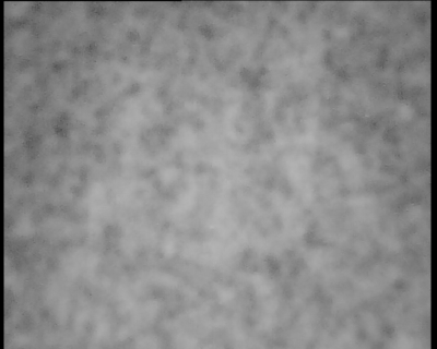 stessa "microfotografia" ma di una stampa da negativo Tri-X ad un fattore di ingrandimento praticamente identico, anche se la gradazione era più morbida