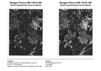 Usare la sensibilità effettiva della pellicola, invece che affidarsi al valore suggerito dal fabbricante, porta a risultati migliori anche quando non si usa il Sistema Zonale, per cui il mio consiglio è... aprite di uno stop quel diaframma!